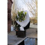 Nature Couverture polaire d'hiver 30 g/m² Blanc 2x5 m