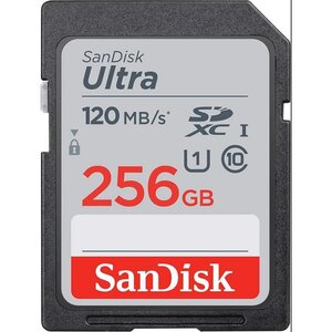 Carte mémoire flash - SANDISK - 256GB