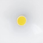 Steinel Projecteur d'extérieur à capteur LS 150 LED Blanc 052553