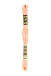 Fil Mouliné DMC Gold Concept 8M Col. 20 Broderie et Point de Croix
