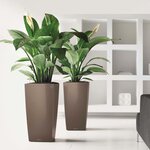 LECHUZA Jardinière Cubico 40 ALL-IN-ONE Taupe haute brillance 18215