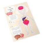 Kit moulage educatif anatomie