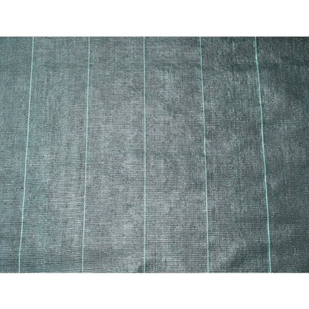 Nature Bâche de sol de contrôle des mauvaises herbes 5 2x5 m Noir