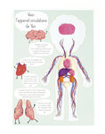 Kit moulage educatif anatomie