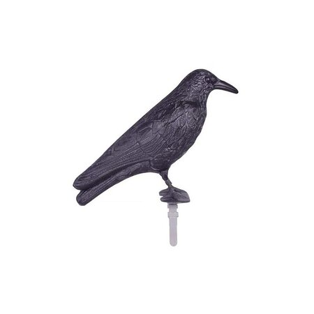 Epouvantail corbeau pour éloigner les pigeons