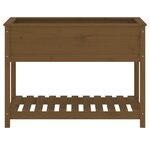 vidaXL Jardinière avec étagère Marron miel 111 5x54x81 cm Bois de pin