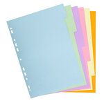 Intercalaires Carte Pastel 170g Forever 6 Positions - A4 - Blanc - X 50 - Exacompta