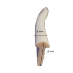 Jonc de blocage liner piscine blanc 30 ml