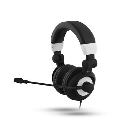 Micro-casque multimédia USB HS-500