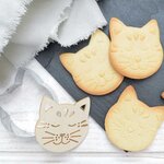 Kit pour biscuits en relief Chat + 5 stylos choco pastel