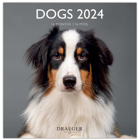 Grand calendrier mural 29x29 cm - 2024 - Chiens - Draeger