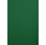 Paquet De 100 Couvertures Grain Cuir Pour Reliure A4 - Clairefontaine