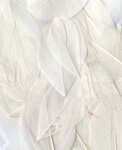 Plumes Lissées Blanc 3 g Lg 6 cm env.
