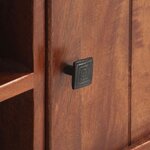 vidaXL Meuble TV Marron miel 120x30x41 cm Bois d'acacia massif