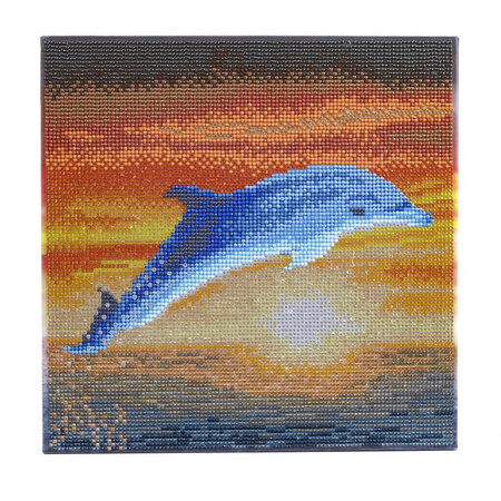 CRYSTAL ART Kit tableau broderie diamant 30x30cm Dauphin