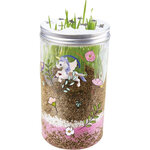 Fundoo - réalise ton Terrarium
