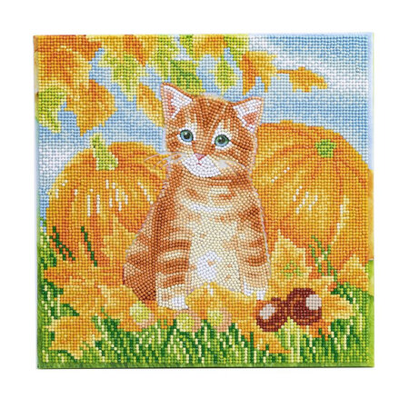 CRYSTAL ART Kit tableau broderie diamant 30x30cm Chat et citrouilles