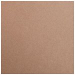 Ramette 125 feuilles Maya 50x70cm 270g brun CLAIREFONTAINE