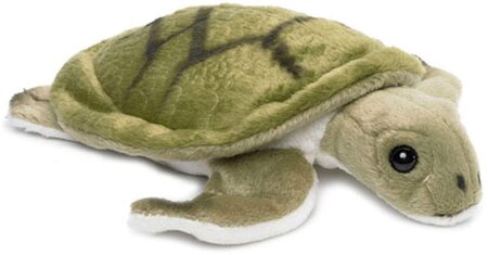 Peluche Tortue De Mer De 18 Cm Vert Blanc