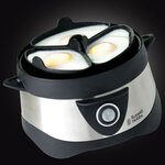 Russell hobbs cuiseur à œufs stylo argenté 365 w