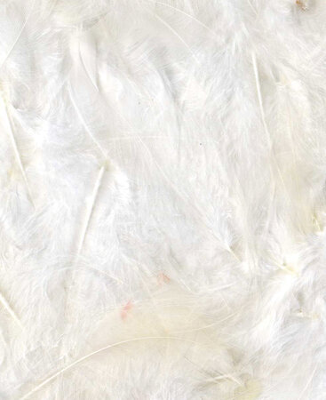 Plumes Ébouriffées Blanc 3 g Lg 8 à 12 cm