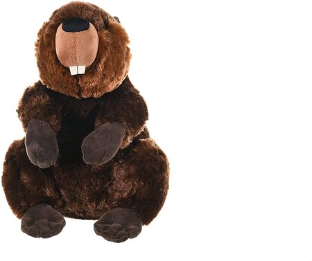 Peluche Castor De 30 Cm Brun
