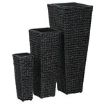 vidaXL Lits surélevés de jardin 3 Pièces Jacinthe d'eau Noir