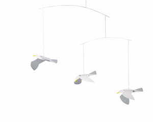 Mouettes de mer