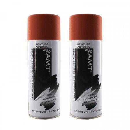 Lot de 2 bombes de peinture - blush mat - amt