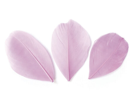Sachet 3 Gr Plumes Coupees Rose Pale Ht.60