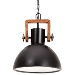 vidaXL Lampe suspendue industrielle 25 W Noir Rond 30 cm E27