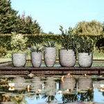 Capi Pot à fleurs Nature Rib élégant bas 46 x 58 cm Anthracite KOFZ783