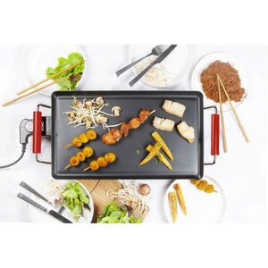 DP1029TP Plancha- 1800W