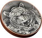 Monnaie en silver - copper 10 vatu g 10 ag - 145 cu millésime 2023 double giant predators tiger