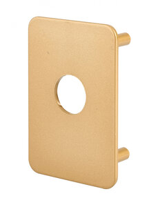 THIRARD - Plaque de renfort pour verrou Capital ou Transit 2  fixation par vis  époxy bronze