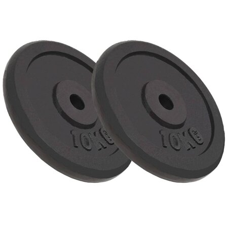 vidaXL Plaque de poids 2 Pièces 2x10 kg Fonte
