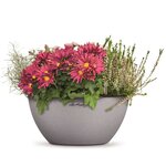 LECHUZA Jardinière CUBETO Color 30 ALL-IN-ONE Gris pierre 13830