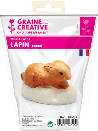 Moule en Latex Lapin