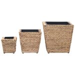 vidaXL Lits surélevés de jardin 3 Pièces Jacinthe d'eau