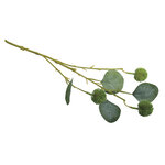 Branche d'eucalyptus avec fruits 40cm