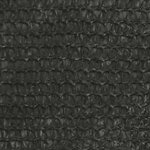 vidaXL Voile d'ombrage 160 g/m² Anthracite 3x3x4 2 m PEHD