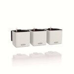 LECHUZA 3 Pièces Jardinières Green Wall Home Kit Blanc