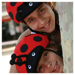 ANIMALS Coccinelle Ladybug