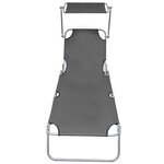 vidaXL Chaise longue pliable avec auvent Acier Gris