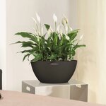 LECHUZA Jardinière CUBETO Color 40 ALL-IN-ONE Noir graphite 13842