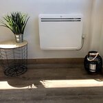 Radiateur électrique à inertie fonte aspen blanc fonte 1000w