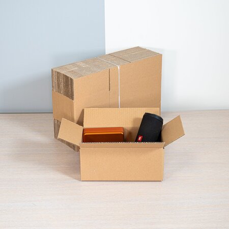 Lot de 25 caisses carton 25x15x10cm