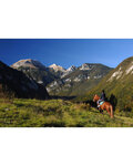 Coffret cadeau - WONDERBOX - Balade à cheval en duo