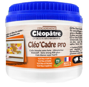 Colle concentrée pour l'encadrement Cléo'cadre 500 g