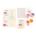 Kit moulage educatif anatomie